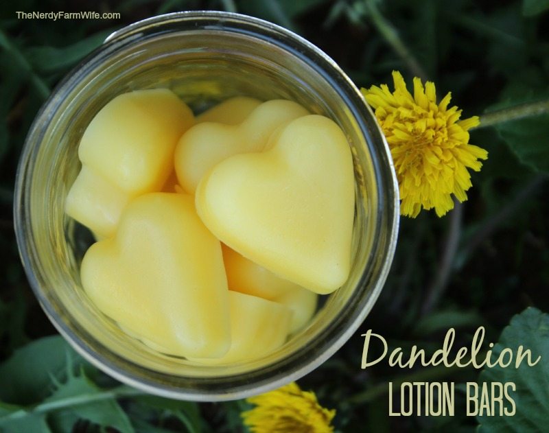 Dandelion Lotion Bars via The Nerdy Farm Wife
