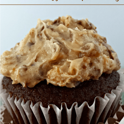 Chocolate Toffee Chip Frosting from Juggling Act Mama as seen on Lady Behind the Curtain