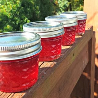 Strawberry Lime Jame from Juggling Act Mama as seen on Mom's Test Kitchen