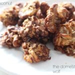 vanilla coconut walnuts from the domesticated wolf