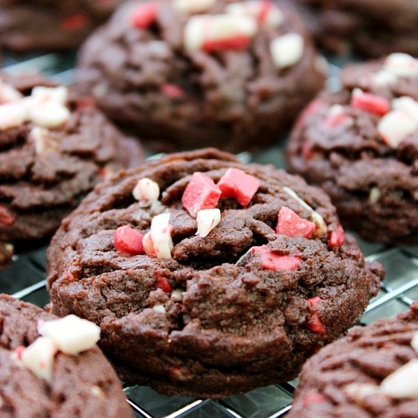 Holiday Chocolate and Peppermint Cookies