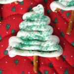 Close up image of chocolate tree.