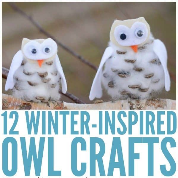 Image contains two pinecone owls and text that reads, "12 Winter-inspired owl crafts".