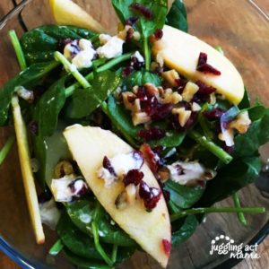 Apple, Cranberry, Walnut, and Goat Cheese Spinach Salad.