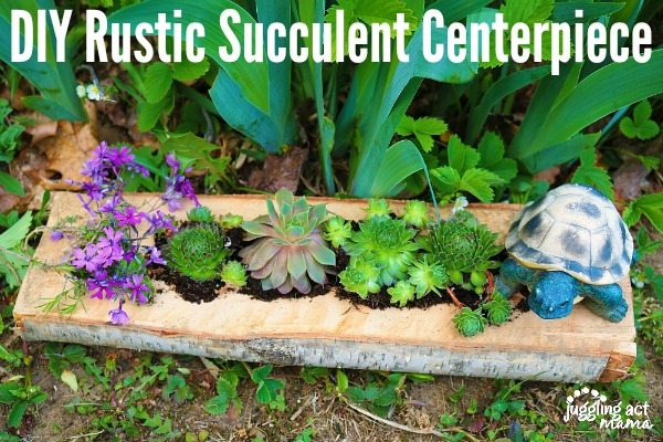 DIY Rustic Succulent Centerpiece - half a birch log with succulents planted in it.