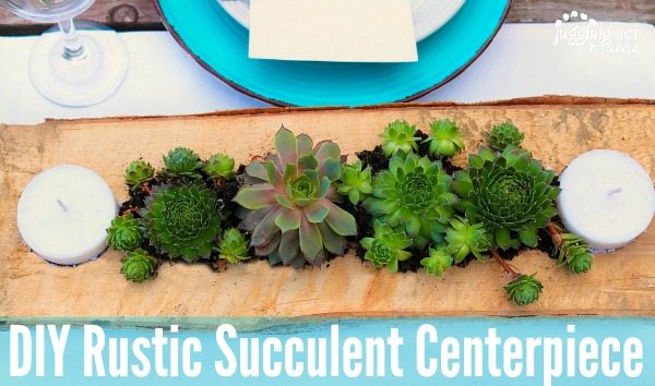 This DIY Rustic Succulent Centerpiece is a fun way to incorporate low maintenance succulent plants into your outdoor living space in just 30 minutes.