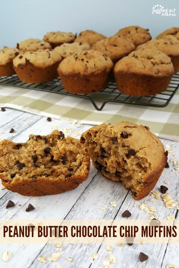 close up of Peanut Butter Chocolate Chip Muffins cut in half with a cooling rack of muffins in the background