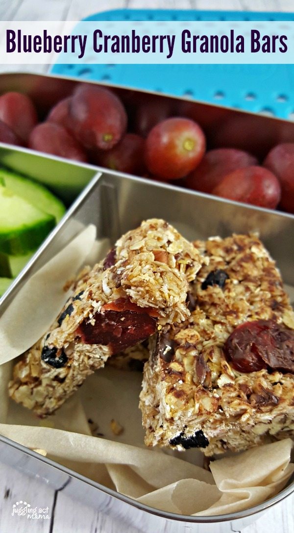 Close up of Healthy Homemade Granola Bars with dried blueberries and cranberries in a Bento style lunch box with red grapes and cucumber slices.