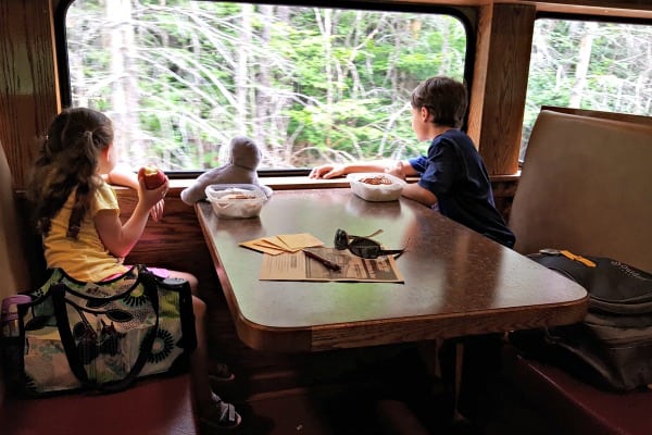 Children looking out the window of one of the trains on the Conway Scenic Railroad.