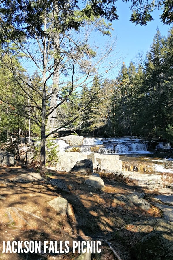 JACKSON FALLS PICNIC