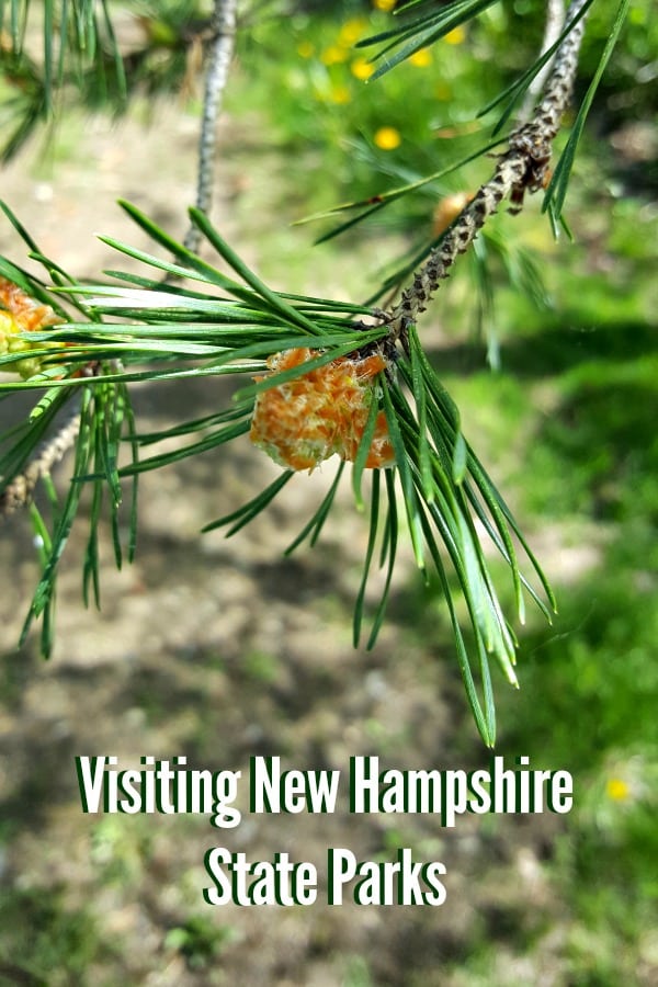 Visiting New Hampshire Parks image with text overlay.