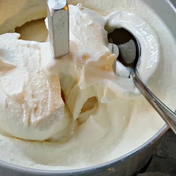 Easy Homemade Ice Cream - just churned