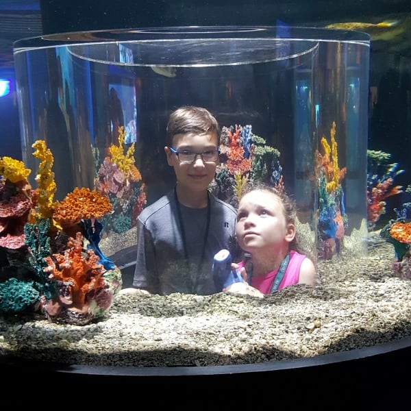 Ethan and Olivia at Niagara Aquarium #ad #AquariumOfNiagara