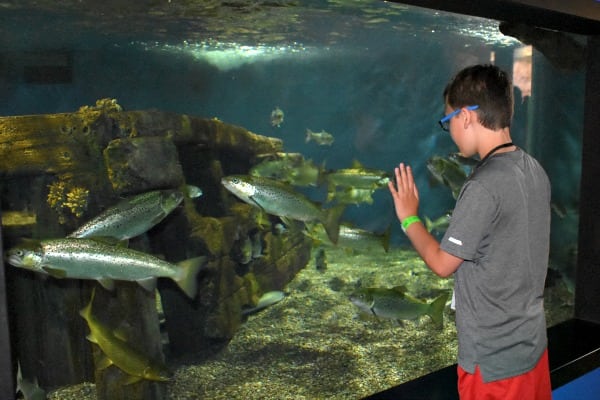 Ethan at Niagara Aquarium #ad #AquariumOfNiagara