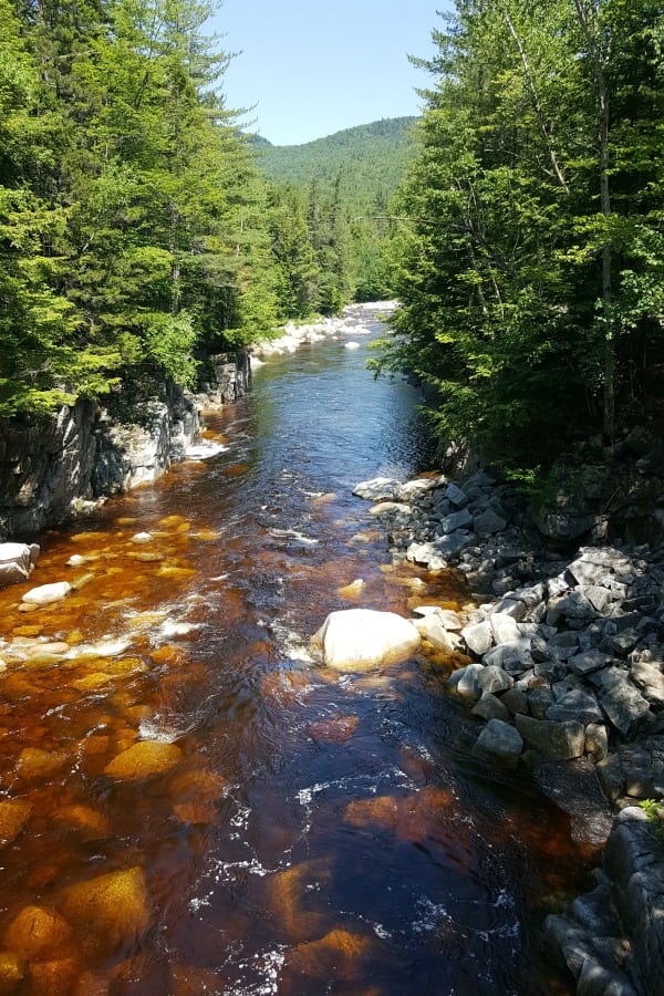 Rocky Gorge - White Mountains National Park