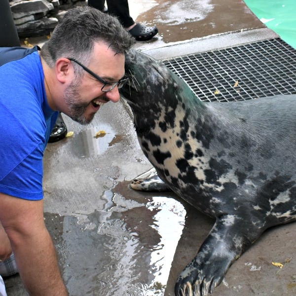 Seal Encounter at Niagara Aquarium #ad #DellaTheGraySeal