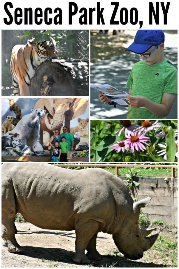 Rochester Zoo - Seneca Park Zoo #ad #SenecaParkZoo #ConnectCareConserve