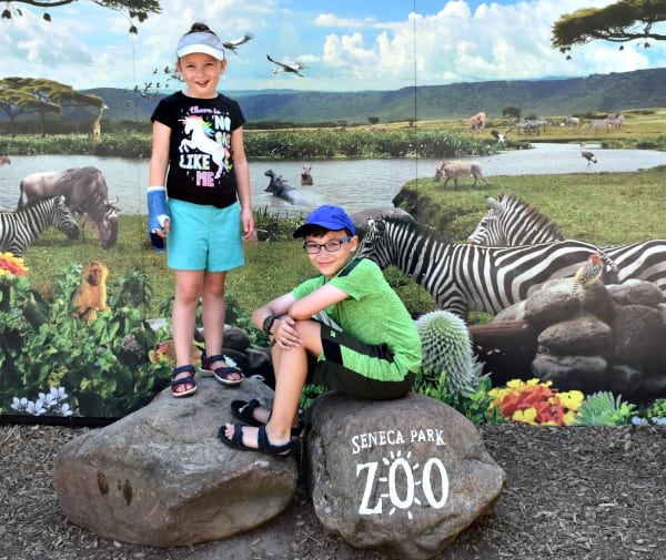Seneca Park Zoo 2018 - Rochester NY