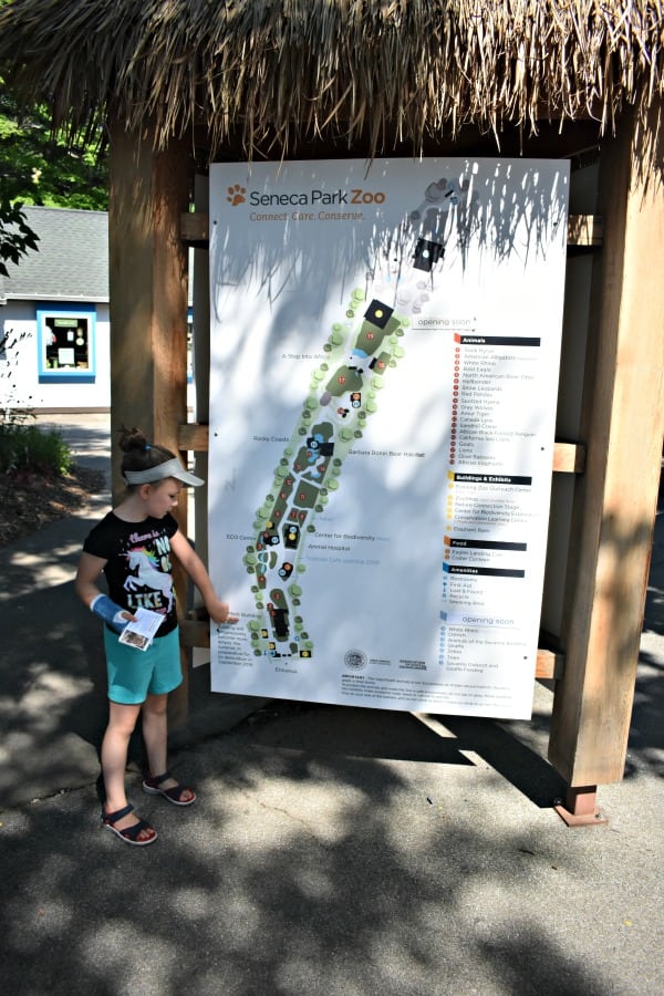Seneca Park Zoo - Rochester Zoo - #ad