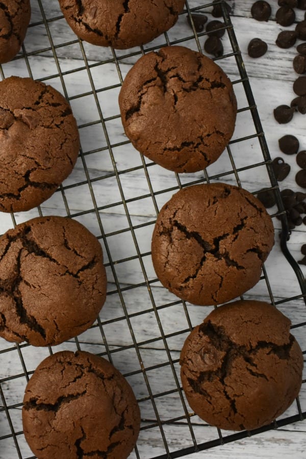 caption: Chocolate lovers will go nuts for these Double Chocolate Chip Cookies!