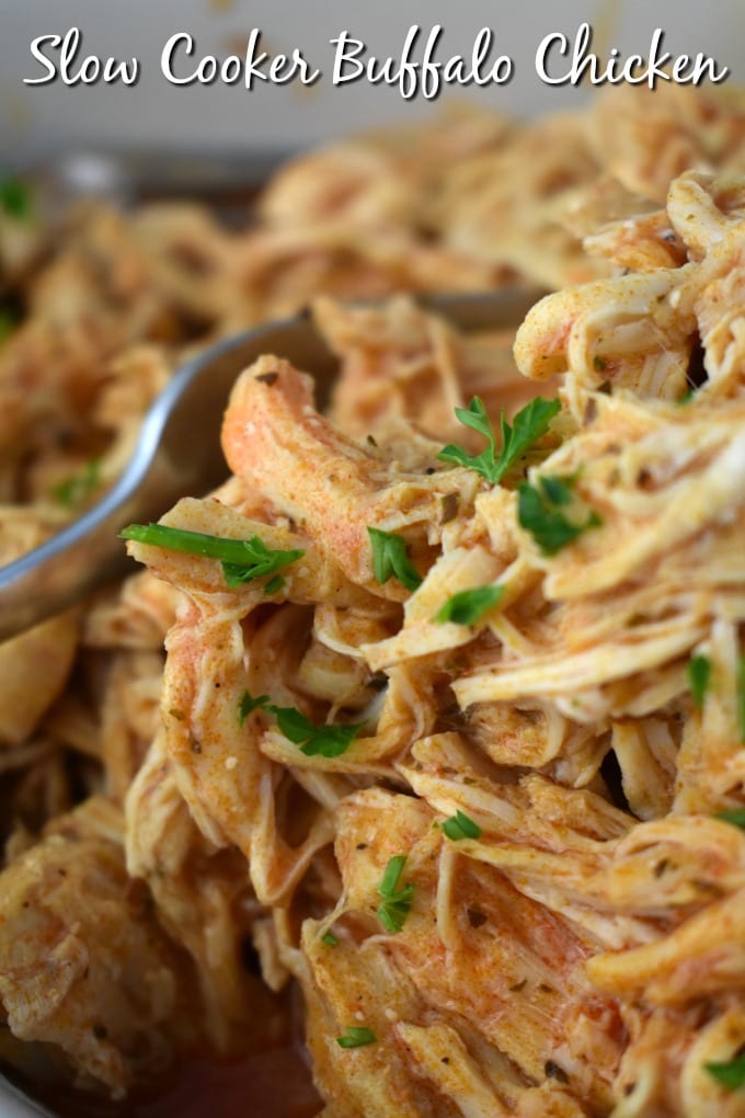 Close up of slow cooked buffalo chicken shredded and sprinkled with parsley.