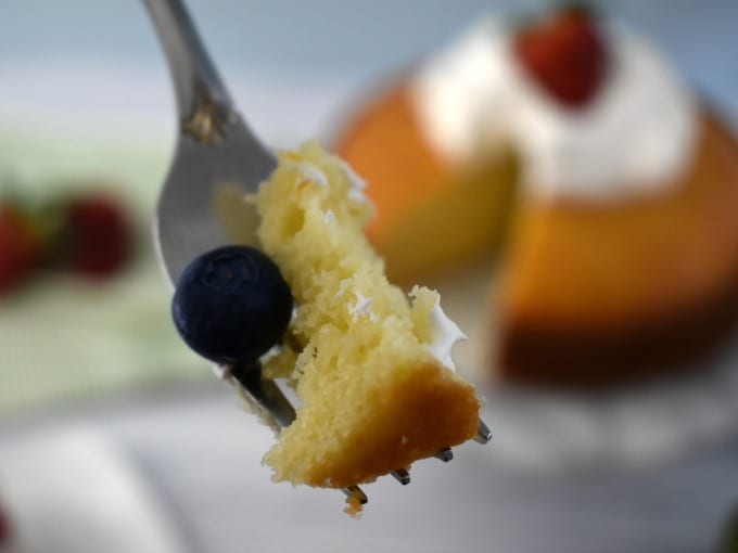 A fork with a bite of Yogurt Cake and a single blueberry in the foreground with a Yogurt Cake topped with whipped cream and a strawberry in the background.