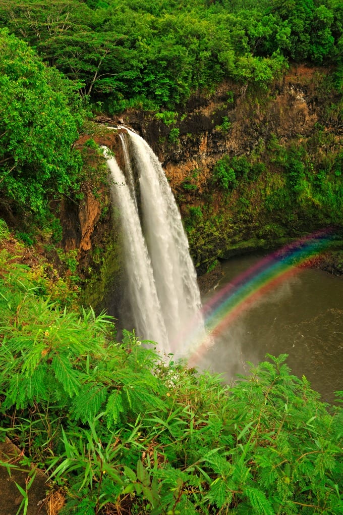 Waterfalls drop in a water pool in a lush green forest, with a rainbow rising from the mist