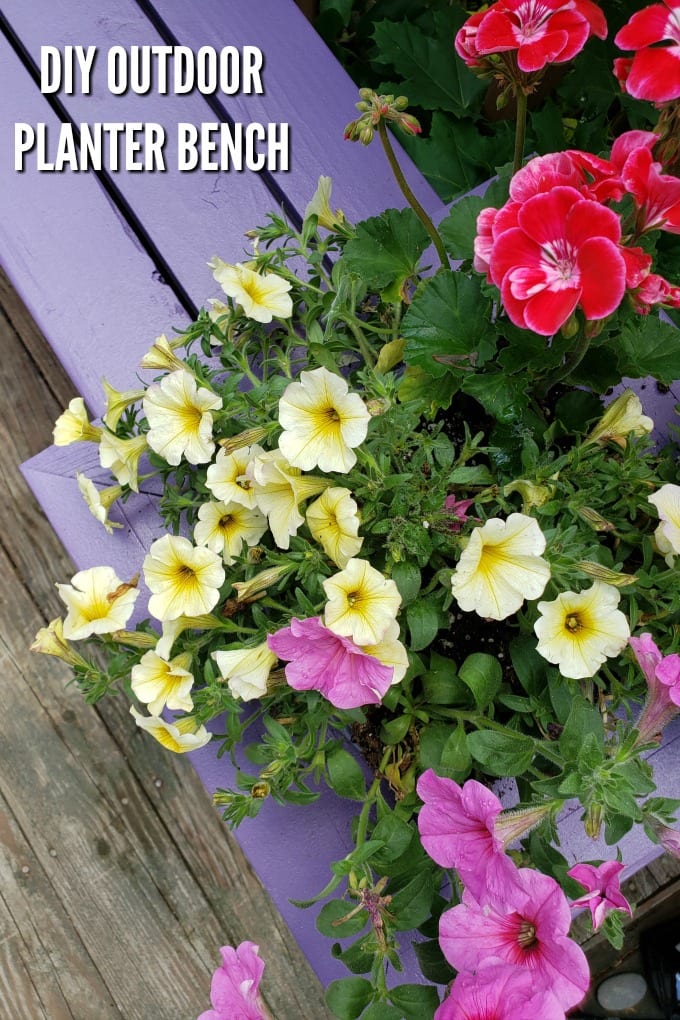 A close up of a purple Outdoor Planter Bench with pink and yellow flowers planted in it.