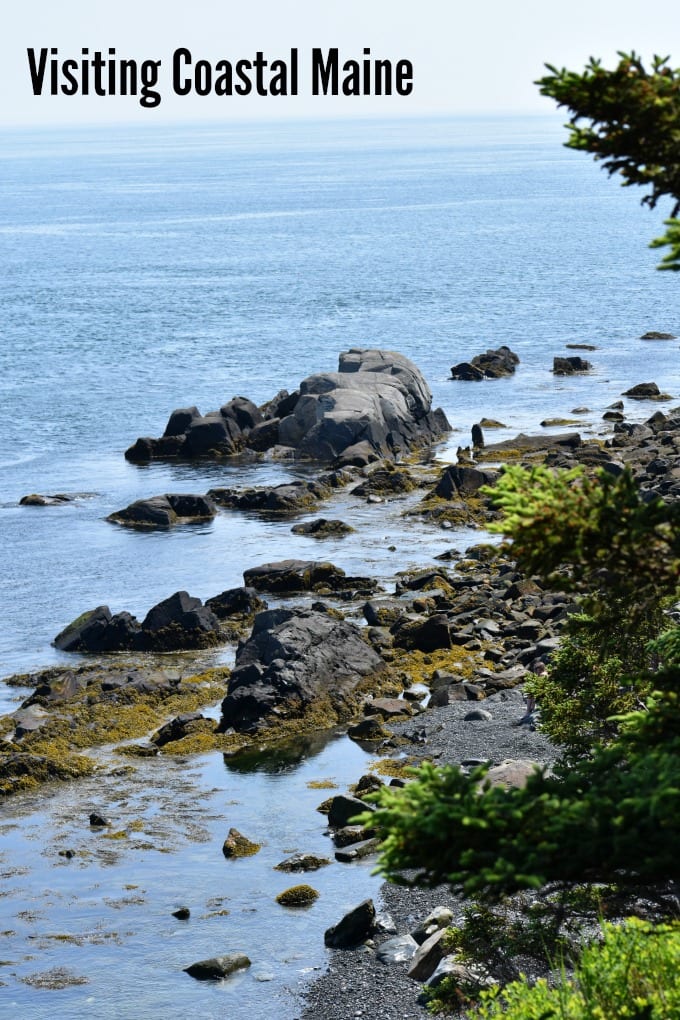 A view of the shoreline from West Quoddy Head Lighthouse