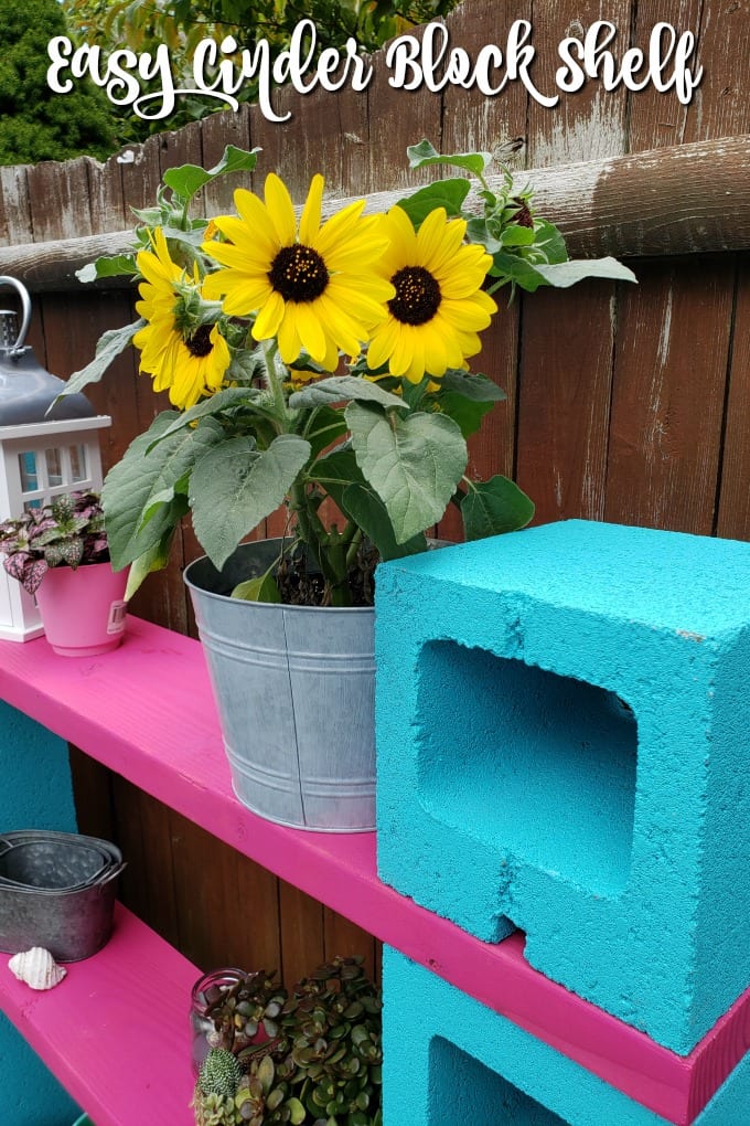 A potted sunflower sits on a magenta and teal cinder block shelf