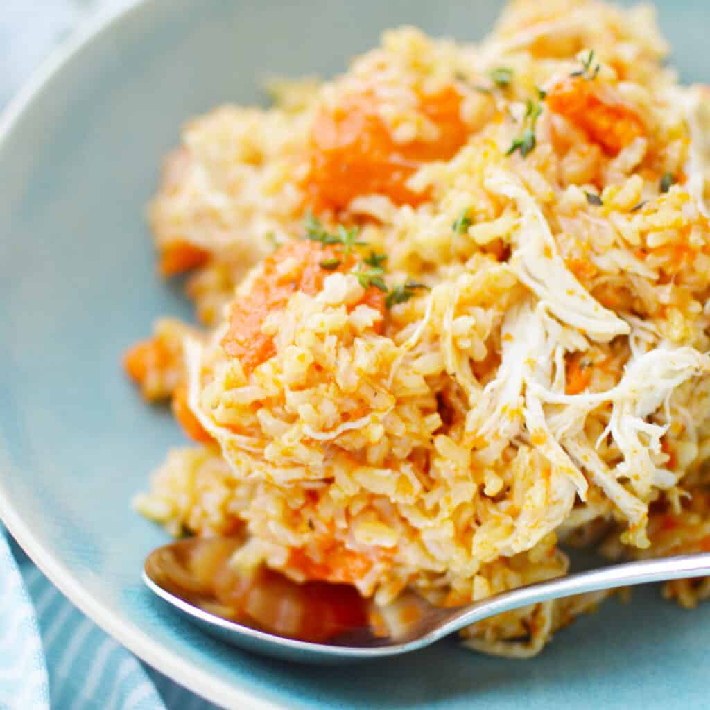 close up of Instant Pot Chicken and Rice with carrots.