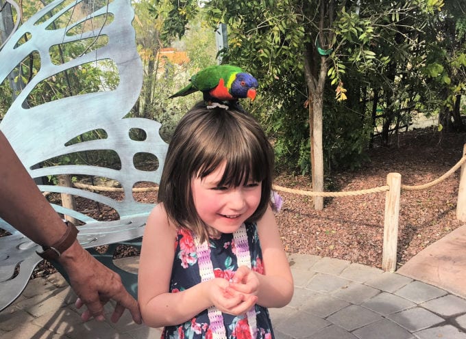 young girl with bird sitting on her head