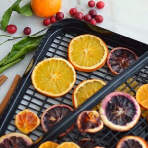 Top down image of dehydrator racks with orange slices on them.