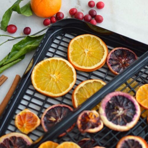 Top down image of dehydrator racks with orange slices on them.