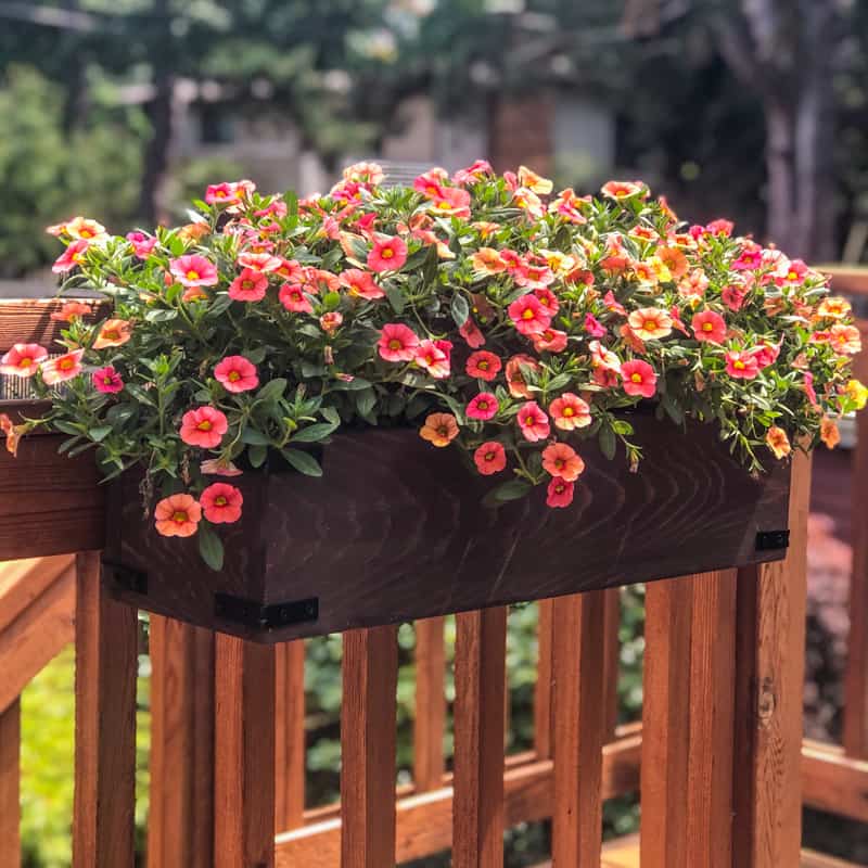 Close up image of a diy deck railing planter box.