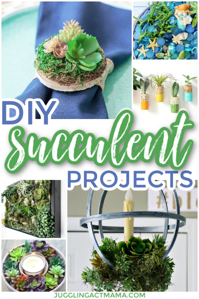A collage of DIY succulent projects outlining the projects you'll find in the text below, a blue napkin with a succulent napkin ring, wine corks made into homes for air plants, a chandelier adorned with them and a centerpiece.