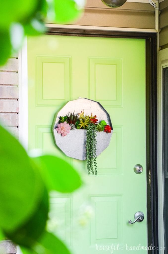 succulent wall planter hanging on a green door