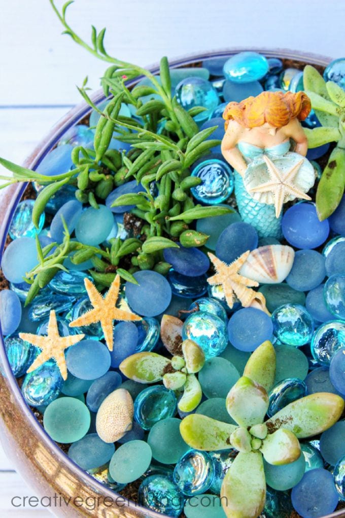 top down view of a mermaid succulent garden with live plants, sea shells and marbles.