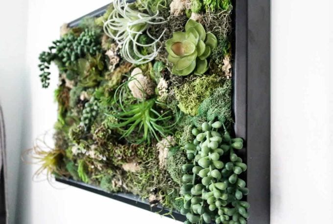 a shadowbox full of faux succulent plants hanging on a wall.