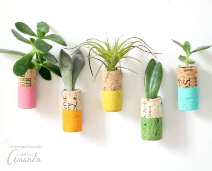 wine corks with succulents in them hang on a refridgerator