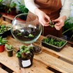 How to Make a Succulent Terrarium.