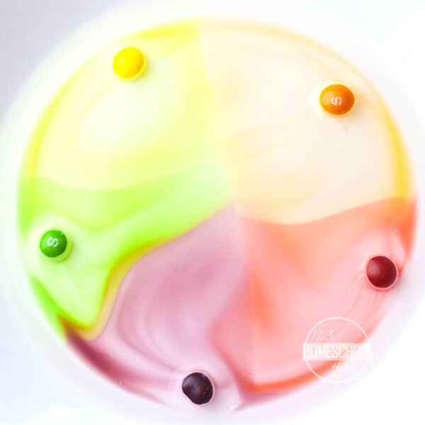 Skittles in a white plate filled with water.