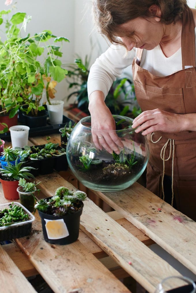 How to Make a Succulent Terrarium - woman planting succulents in a glass bowl