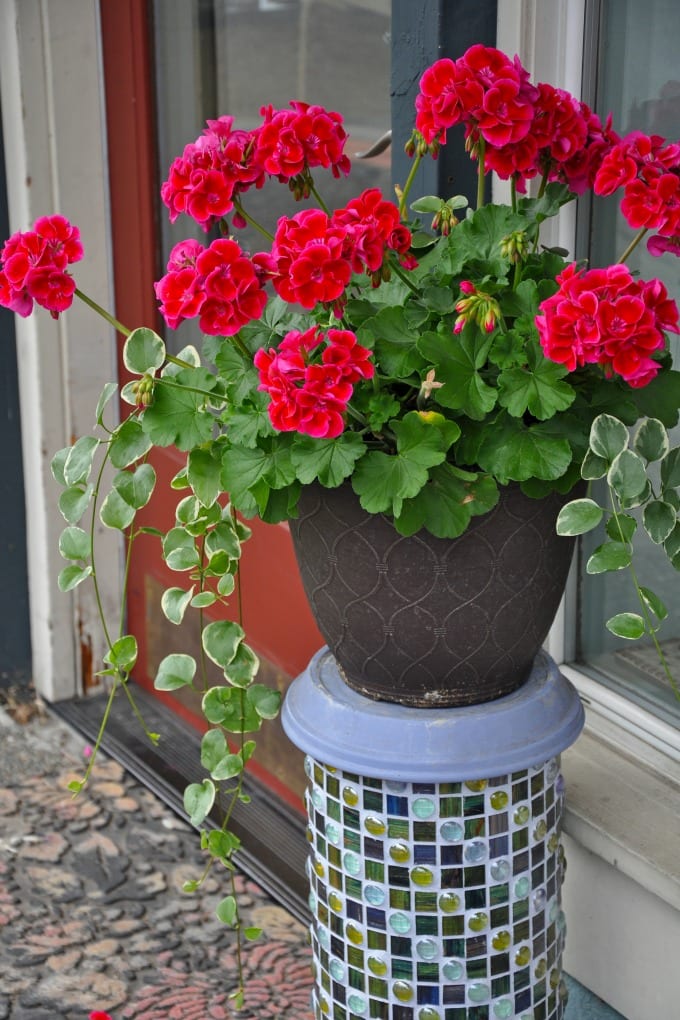 Container Flower Garden Ideas  - red geraniums planter on decorative mosaic tile stand.