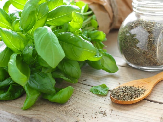 Fresh basil leaves sitting next to a wooden spoon with dried basil.