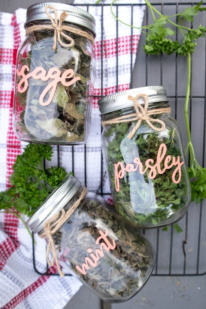 Three Cricut DIY Dried Herb Mason Jars with coral vinyl labels for sage, parsley and mint, sitting atop a cooling rack and a kitchen towel. 