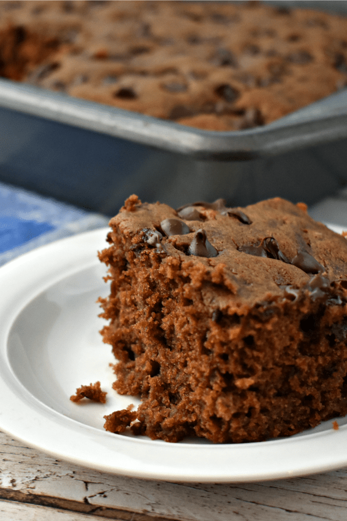 Close up image of chocolate zucchini cake on a white plate. 
