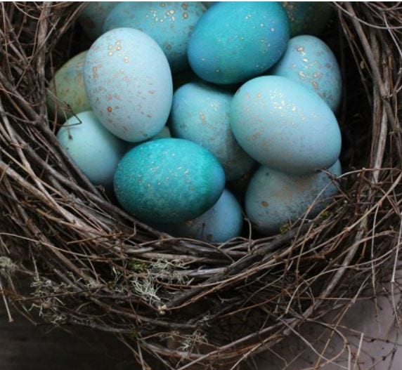 DIY Dyed Robin’s Eggs from Honestly Yum