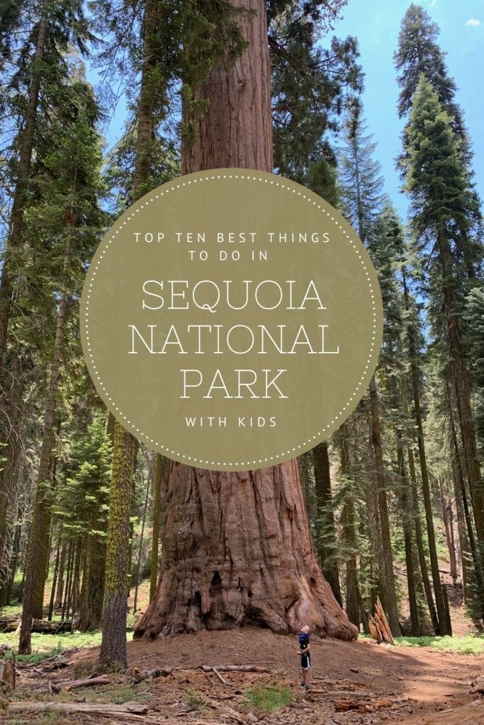 Top Ten Best Things to do in Sequoia National Park with Kids