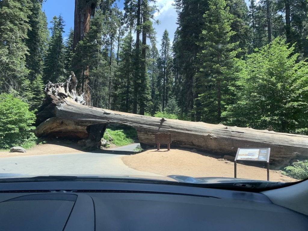 Driving through the tunnel log.